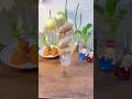 Don't Throw Away That Ginger! Grow It in Water Instead