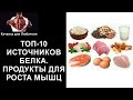 ТОП-10 ИСТОЧНИКОВ БЕЛКА. 💣 ПРОДУКТЫ ДЛЯ РОСТА МЫШЦ