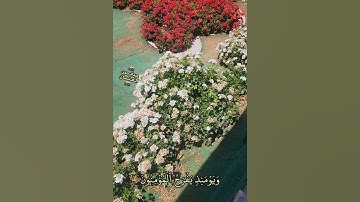 ويومئذٍ يَفرحُ المؤمنون بنصرِ الله ينصر من يشاء|تلاوة هادئة|الشيخ سعد الغامدي|#explorepage #quran