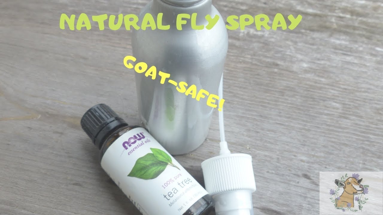 Homemade Natural Fly Spray! - YouTube