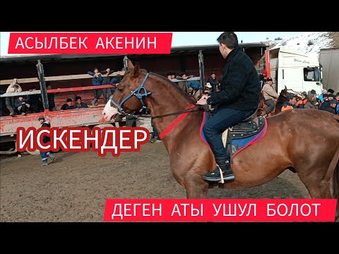 АСЫЛБЕК АКЕНИН ИСКЕНДЕР
