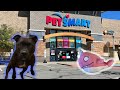Mary The Pitbull Dog Goes To PetSmart! (Gets A Gift For Her Best Friend)