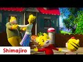 This Way That Way рџ Sing Along With Shimajiro Nursery Rhymes Kids Songs This Way That Way рџ Sing Along With Shimajiro Nursery Rhymes Kids Songs