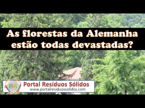 Vídeo: Por Que A Floresta Khimki Está Sendo Cortada?