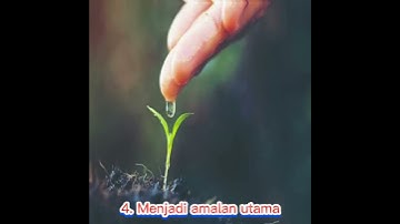 Inilah keutamaan mengucapkan dua kalimat shahadat #viral #shorts #duakalimatsyahadat