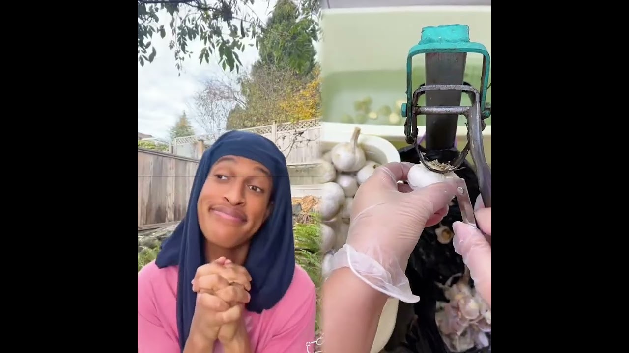 🤣👌👌👌2025 pov Must-Watch Crazy Clips Compilation 