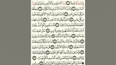 ماهر المعيقلي سورة الصافات مكتوبة صفحة 446 مصحف المدينة المنورة جودة عالية