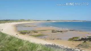 Class 3 EVS Lesson 6 module 4