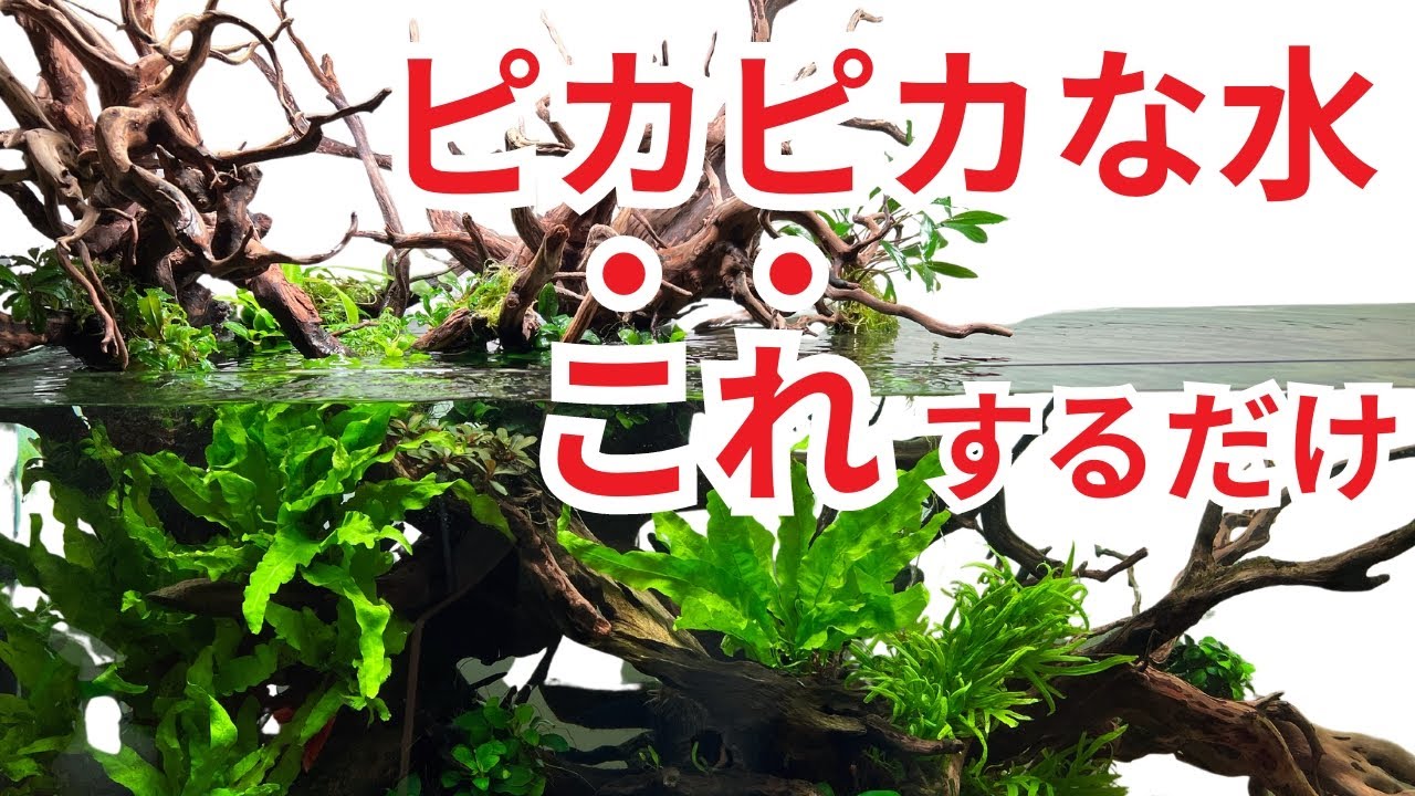 これを使うだけで、圧倒的に水がきれいになります