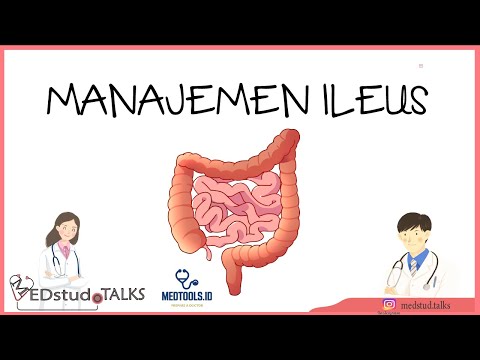 Surgery Talk : Manajemen Ileus bersama  Dr. dr. Reno Budiman. M.SC, Sp.B-KBD, FCS, FICS