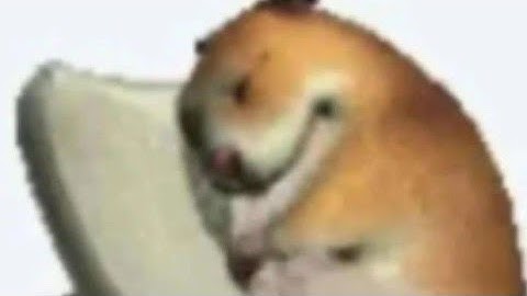 Membuat Web Server Berbasis Linux di Virtual Box - Tugas Kelompok Sistem Operasi