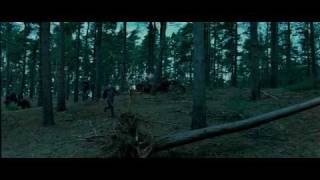Harry Potter and the Deathly Hallows - Trailer NL Sub