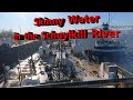 Skinny Water in the Schuylkill River