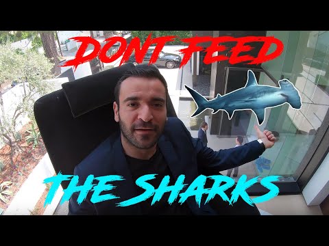 hollywood-hills-mansion-with-shark-tank