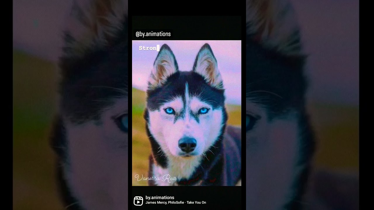 Strong, intelligent and good... 