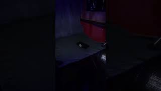 Когда слишком увлечен Фазмой :3