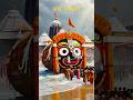 Shri Jagannatha #shorts #shortsfeed #jagannath