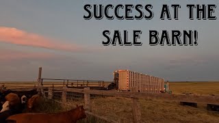 From Ranch To Auction Selling Our Yearlings
