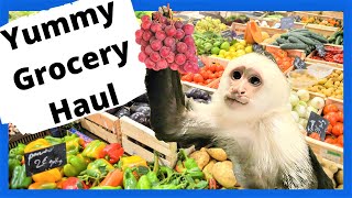Grocery Haul For Our Monkeys  🍎🍉🍇|  How much does it COST To Raise A Healthy Monkey |  Capuchin