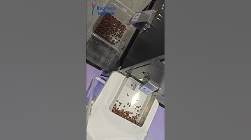 MINI coffee bean color sorter#machine #sortingmachine #sorter #coffeebean