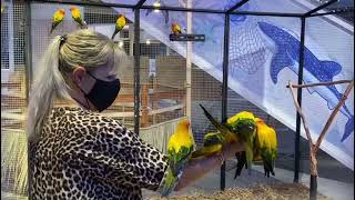 Bluport Huahin, Best Shopping & Feeding