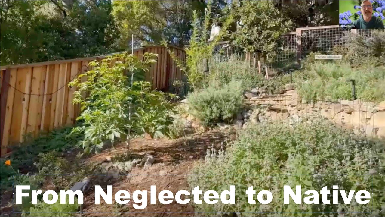 From Neglected to Native: Transforming a Hillside Garden - YouTube