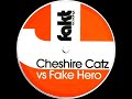 Cheshire Catz Vs Fake Hero Wide Awake mp3