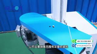 Automatic Valve Bag Filler | Powder Bagging Machine & High-Speed Packaging System | GLZON