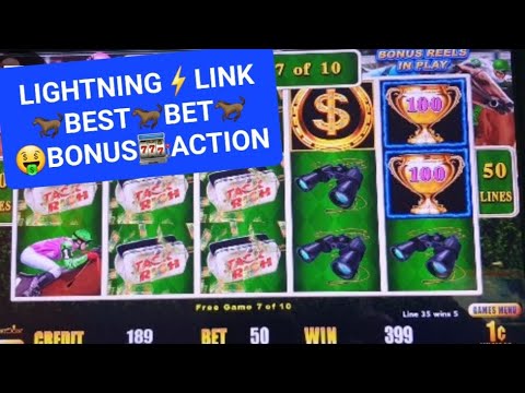 new yono rummy LION SAGA 2025 game play