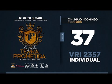 LOTE 37 Bhella FIV VRI Vila Real   VRI 2357 Novo