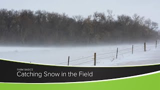 Catching Snow in the Field