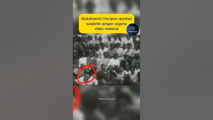 Katta kokraklar bilan porno videolar