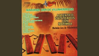 Video thumbnail of "Marimba Lira De Villahermosa - La Gallina"