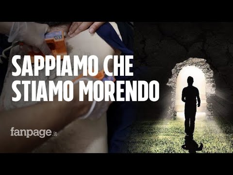 Video: Gli Scienziati Hanno Calcolato Quanto Funziona La Coscienza Di Una Persona Dopo La Morte - Visualizzazione Alternativa