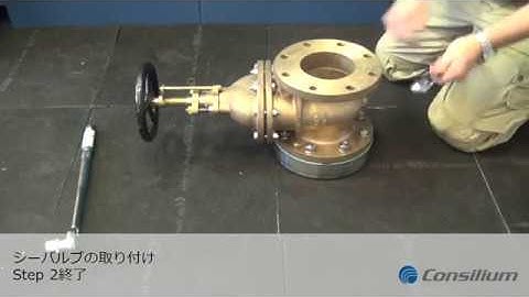 SAL T MSSBSV H, Step 2 – Mounting of Sea Valve