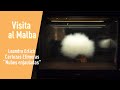 Leandro Erlich en el Malba - Nubes (Certezas Efímeras)