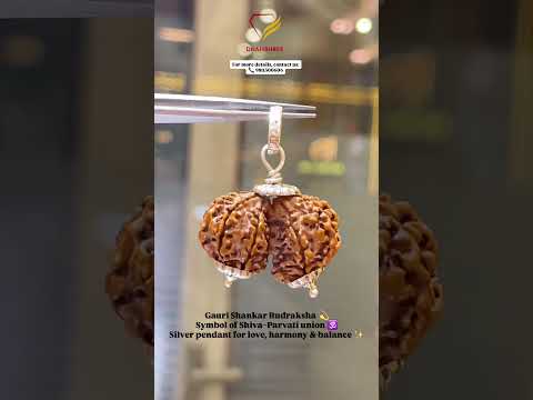 Gauri Shankar Rudraksha #gemstoneshorts #gemquality #rudraksha#gaurishankar #omnamahshivaya #silver