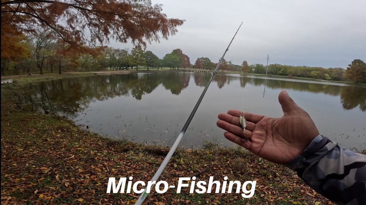 Micro Fishing for Fall Bass