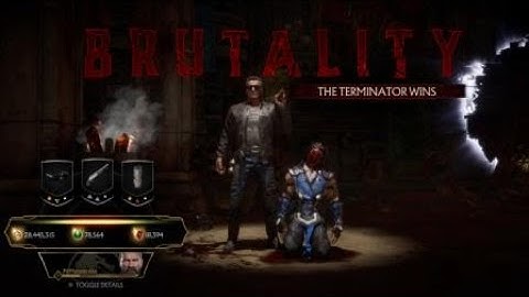 Mortal Kombat 11 how to do Terminator Target Acquired Brutality!