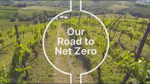 Rovensa Net Zero Roadmap