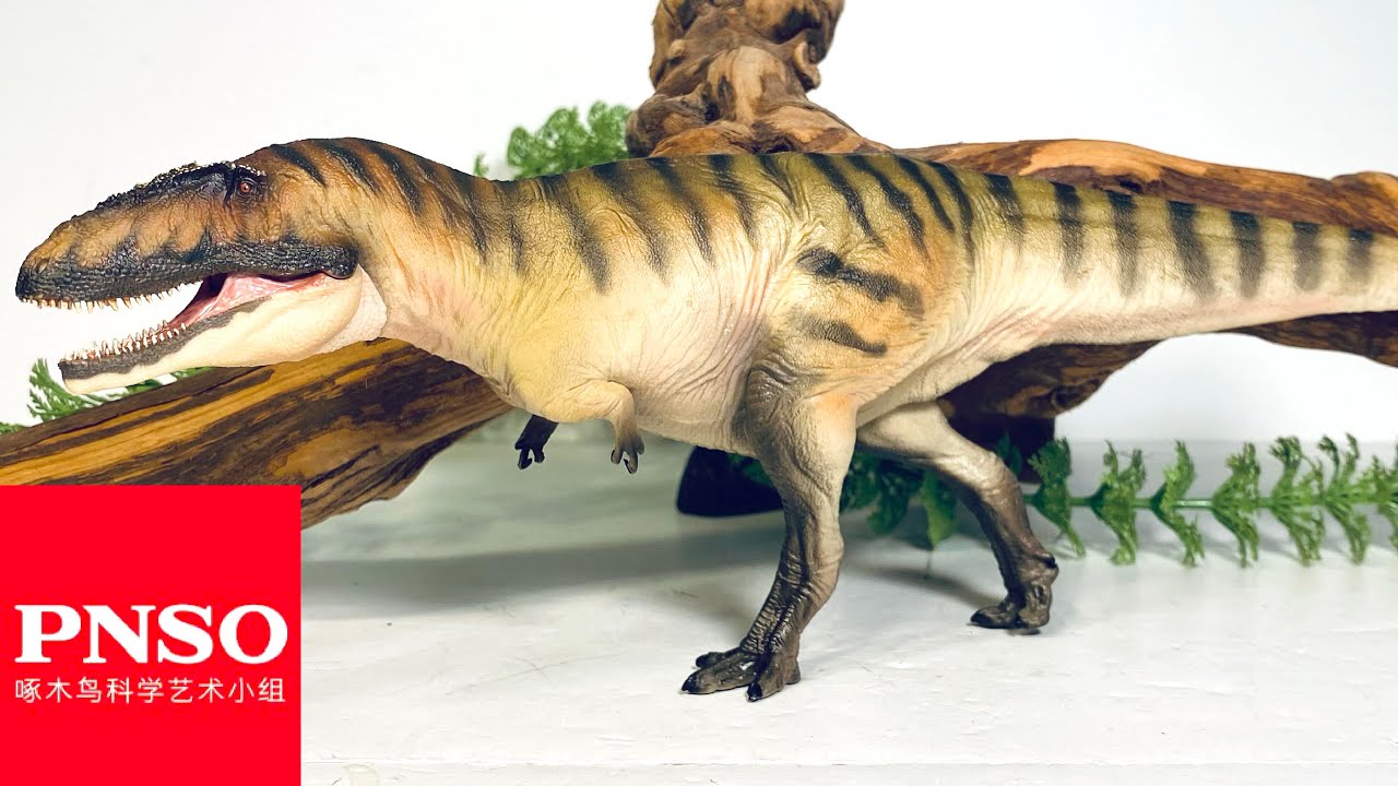 carcharodontosaurus pnso