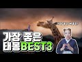 태몽으로 이꿈을 꾸면 대박나는꿈/동물꿈 ,용꿈,사물꿈,재물꿈,재수꿈
