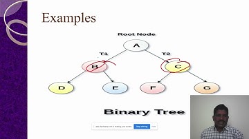 Types of Binary Trees in Data Structures