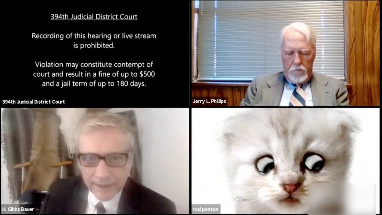I Am Not A Cat Lawyer Trapped By Cat Filter Tells The Judge Youtube