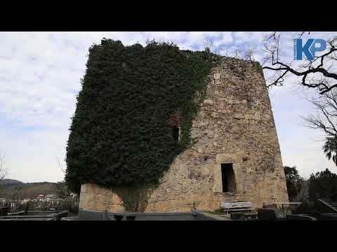 მწვანე ყვავილა - ქუთაისიპოსტი