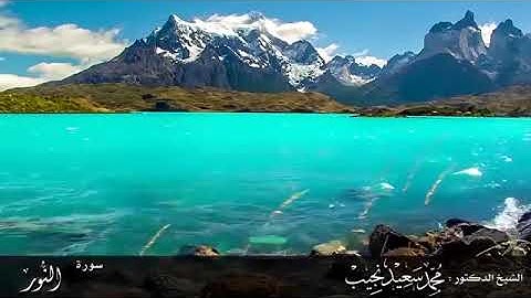 آيات حادثة الإفك | سورة النور | القارئ/ محمد سعيد نجيب