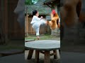 AI-Generated Toddler Martial Arts Showdown with Rooster!