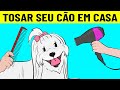 Como Tosar Seu Cachorro Em Casa Como Um Profissional