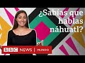 Las palabras que el náhuatl le dejó al español (y que usas sin saber) | BBC Mundo