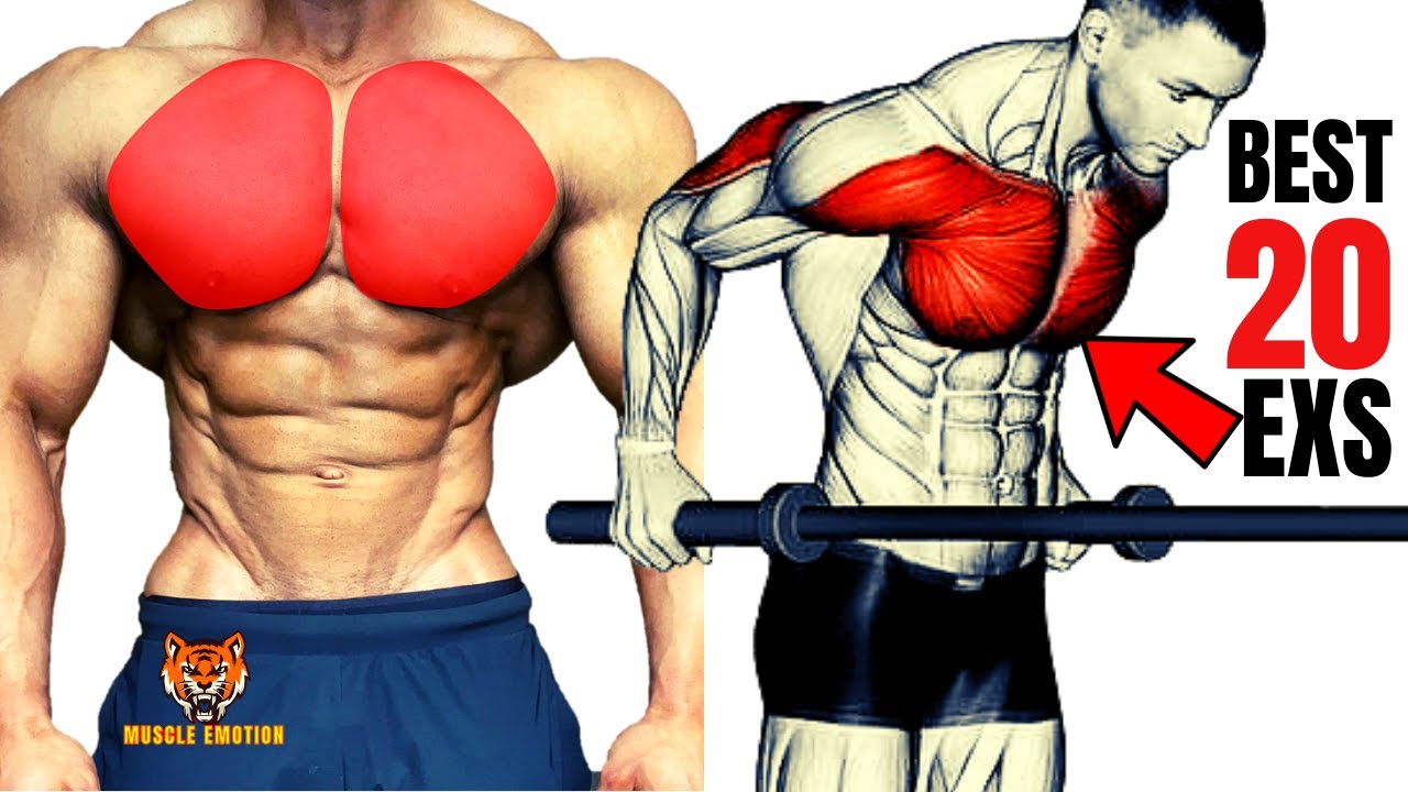 20 BEST CHEST EXERCISES WITH DUMBELLS BARBELL AND CABLE - YouTube